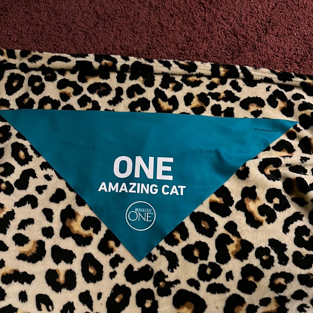 One Amazing Cat Bandana